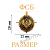 Петлицы эмблемы ФСБ парадные