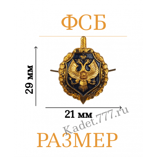 Петлицы эмблемы ФСБ парадные