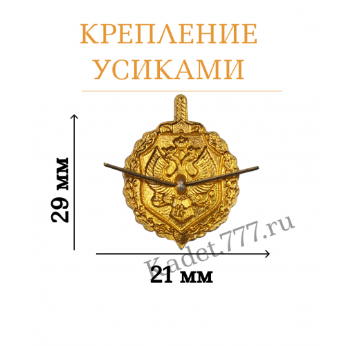 Петлицы эмблемы ФСБ парадные