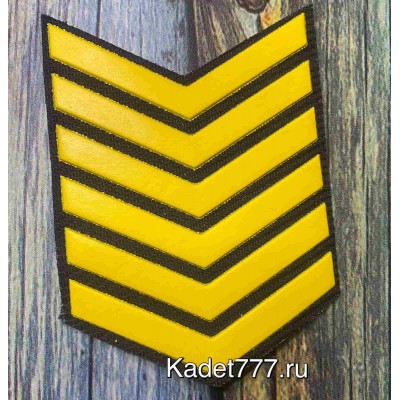 Пластизолевые годички желтого цвета на черном фоне для кадет 