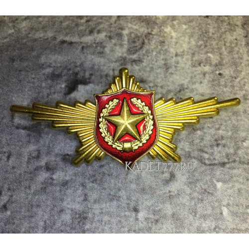Знак Рота почетного караула сухопутные войска