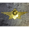 Знак Рота почетного караула сухопутные войска
