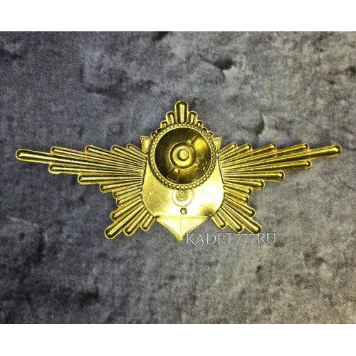 Знак Рота почетного караула сухопутные войска